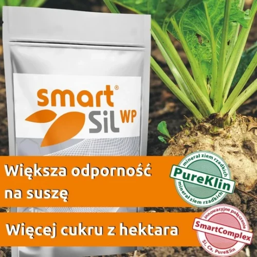 smartsil-kwadrat-burak-medium.webp