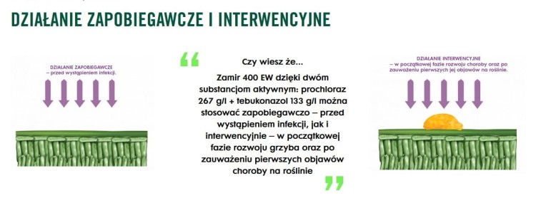 Zamir 400 EW baner.jpg