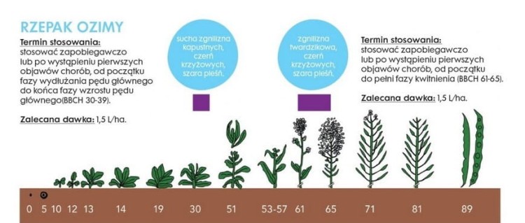 Zamir 400 EW baner 2.jpg