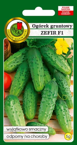 OGOREK-GRUNTOWY-ZEFIR-F1-5g.jpg