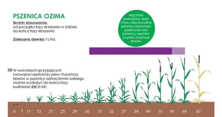 Zamir 400 EW baner 3.jpg