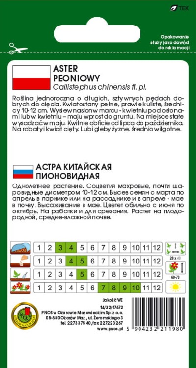 ASTER-PEONIOWY-LOSOSIOWOROZOWY-0,8gt.jpg