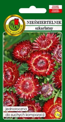 NIESMIERTELNIK-SZKARLATNY-1,5g.jpg