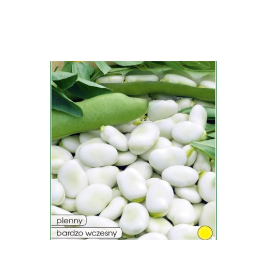 Projekt bez tytułu(10).png