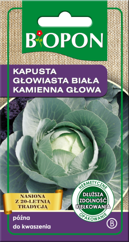 kapusta_kamienna_glowa_-_5904517167469_-_08.08.18.png
