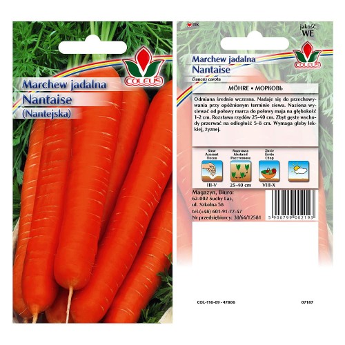 marchew-jadalna-nantaise-nantejska-polana-5g-coleus-.jpg