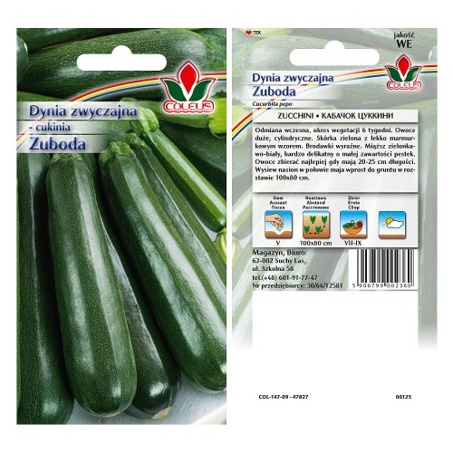 dynia-zwyczajna-cukinia-zuboda-2g-coleus.jpg