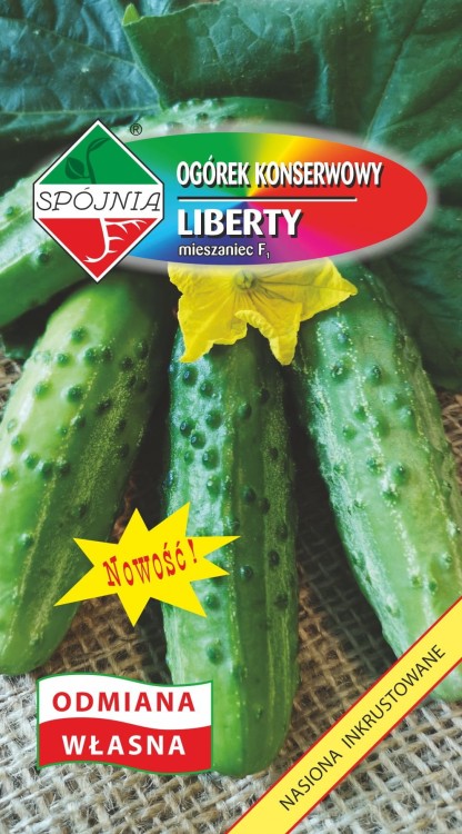 Ogorek-gruntowy-Liberty-mieszaniec.jpg