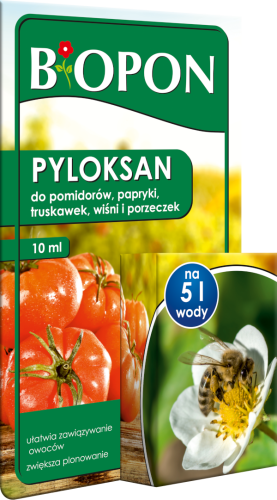 pyloksan_10_ml_-_5904517247277_-_28.10.19.png