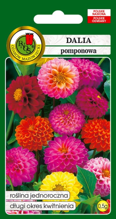 DALIA-POMPONOWA-MIESZANA-0,5g.jpg