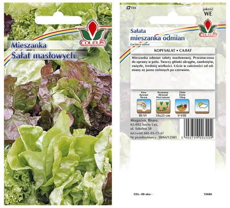 pol_pm_Salata-maslowa-mix-kolorow-963_1.jpg