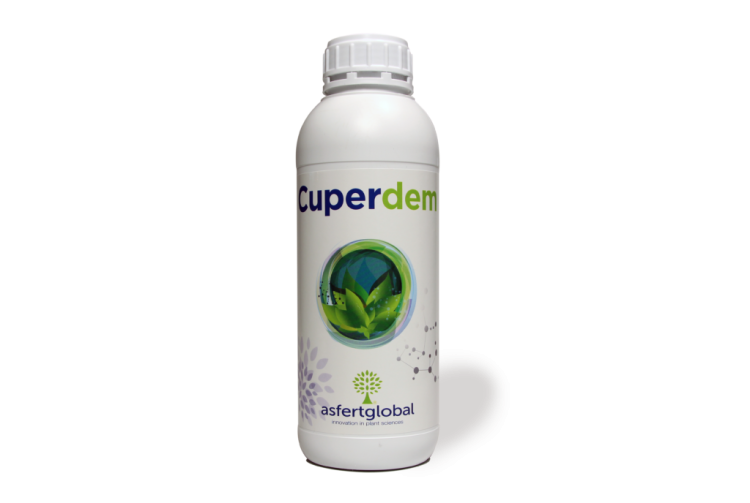 Cuperdem-1l-1024x688.png