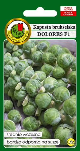 5904232216497Kapusta-Brukselska-Dolores-F1-front.jpg