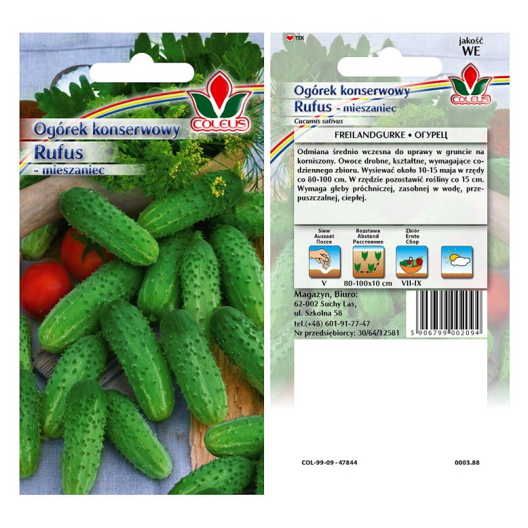 ogorek-konserwowy-rufus-mieszaniec-3g-coleus.jpg
