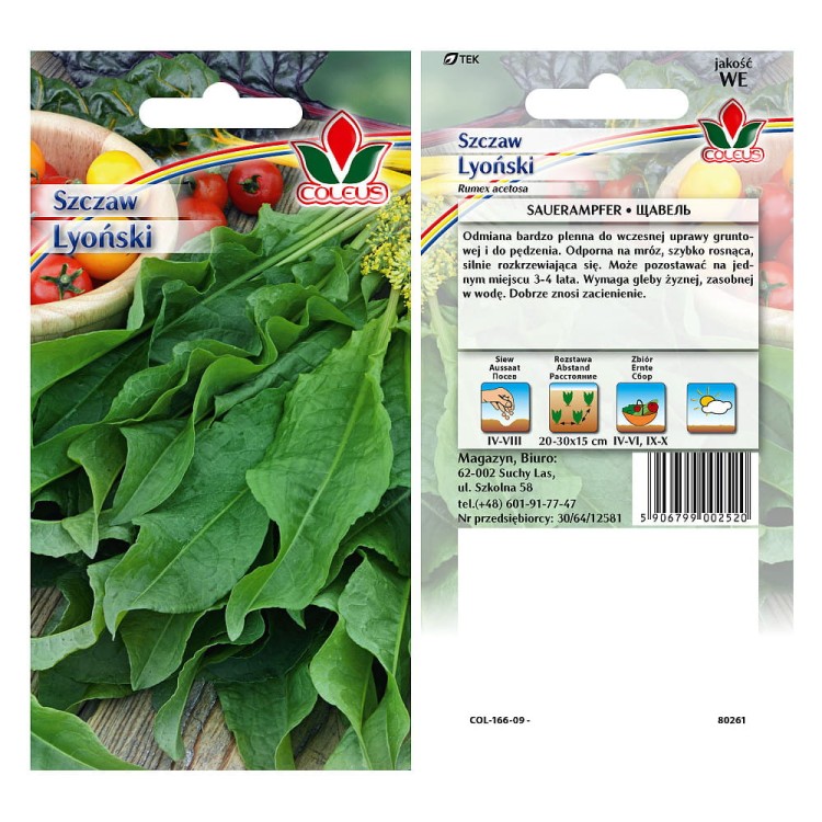 szczaw-lyonski-2g-coleus.jpg