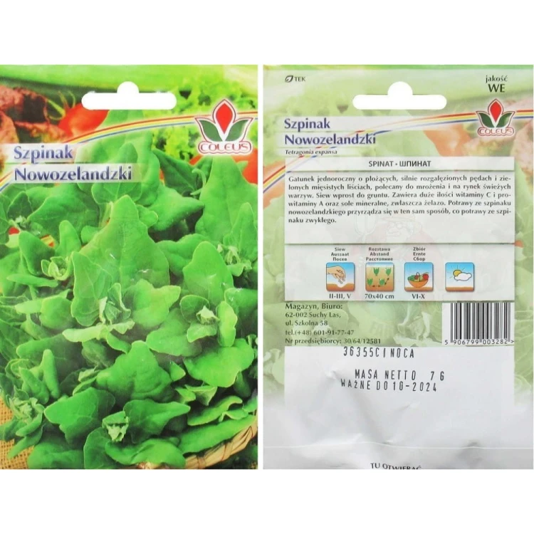 szpinak-nowozelandzki-7g-coleus.jpg