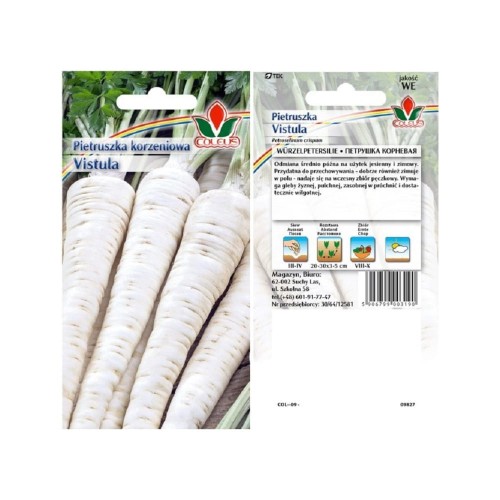 pietruszka-korzeniowa-vistula-5g-coleus.jpg