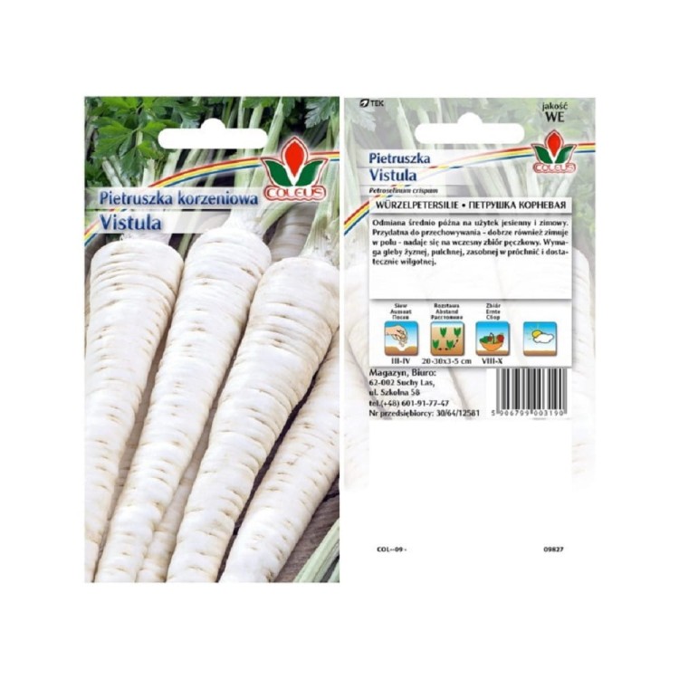 pietruszka-korzeniowa-vistula-5g-coleus.jpg