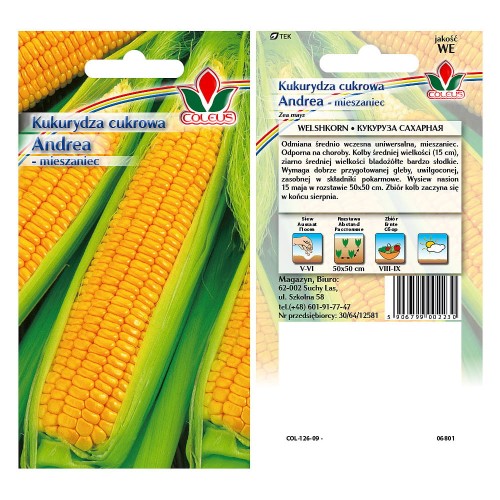 kukurydza-cukrowa-andrea-mieszaniec-5g-coleus-.jpg