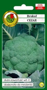 BROKUL-CEZAR-nasiona-PNOS.jpg