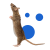 mysz_1000x1000-min.png