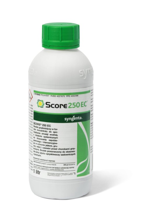 SCORE_250_EC1_l.jpg