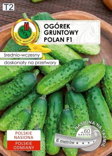 Ogorek-gruntowy-POLAN-6m-nasiona-PNOS.jpg