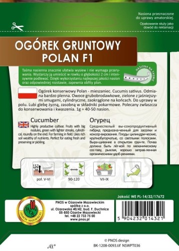 Ogorek-gruntowy-POLAN-6m,,.jpg