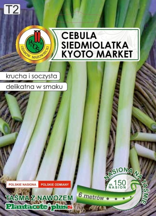 Cebula-siedmiolatka-KYOTO-MARKET-6m-nasiona-PNOS.jpg