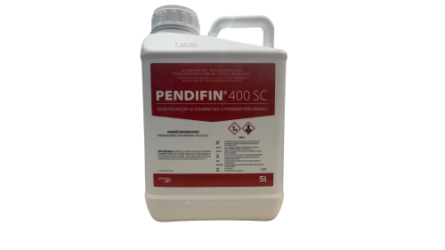 Projekt bez nazwy.png