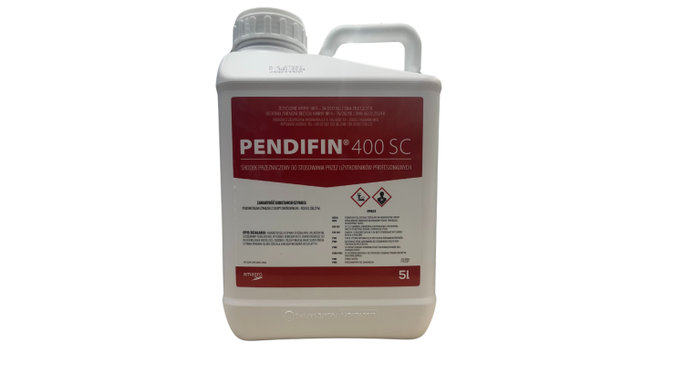 Projekt bez nazwy.png