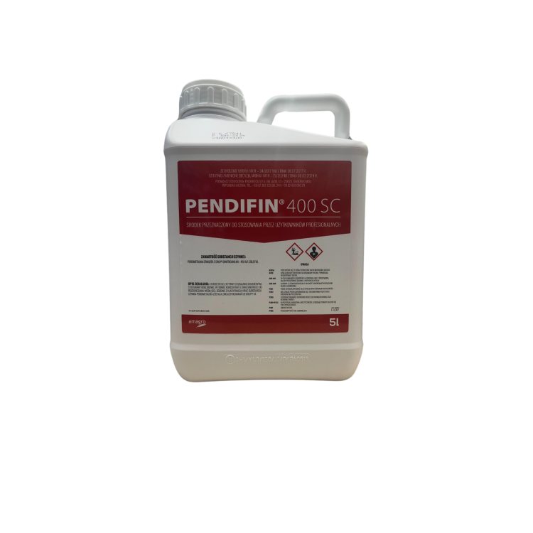 Projekt bez nazwy (4).png