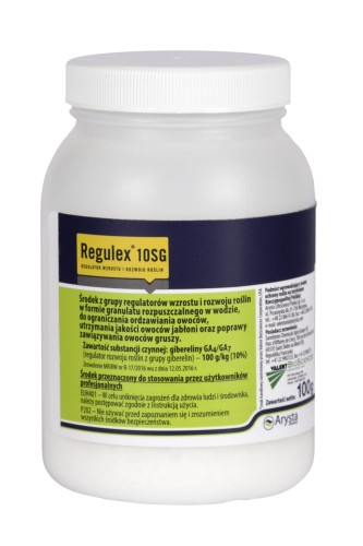 REGULEX_10_SG_0_1KG.jpg