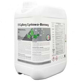 CyBorg_Cynkowo_Borowy_6Ls.jpg