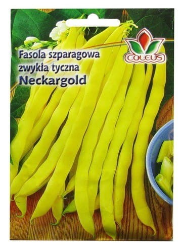 pol_pl_FASOLA-SZPARAGOWA-ZWYKLA-TYCZNA-NECKARGOLD-10g-1619_1.jpg