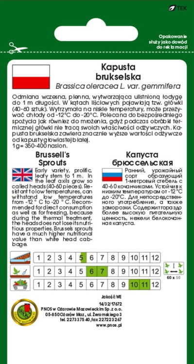 Kapusta-brukselska-LONG-ISLAND.jpg
