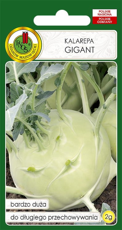 Nasiona-PNOS---kalarepa-gigant.jpg