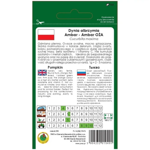 Dynia-olbrzymia-Ambar-opis-PNOS.webp