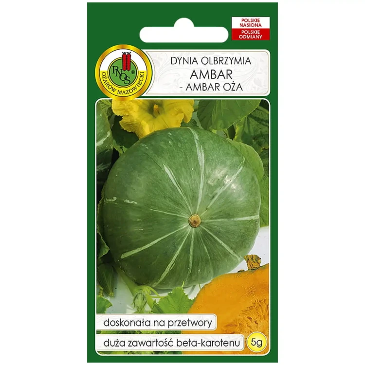 Dynia-olbrzymia-Ambar-nasiona-PNOS.webp