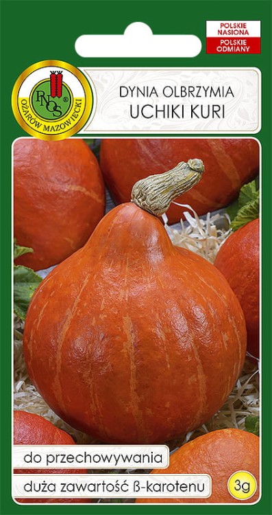 Nasiona-Pnos---Dynia-olbrzymia-Uchiki-Kuri-3g.jpg