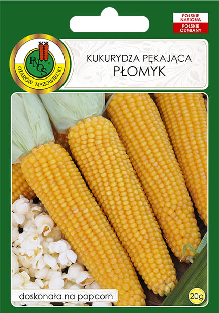 Nasiona-PNOS---kukurydza-plomyk.jpg