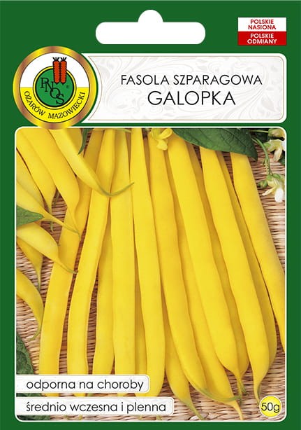 Nasiona-PNOS---fasola-szparagowa-zolta-karlowa-Galopka-50g.jpg
