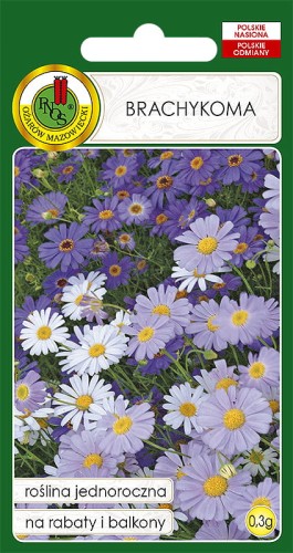 Nasiona-PNOS---Nasiona-kwiatow---Brachykoma.jpg