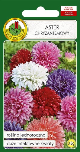 Nasiona-PNOS---Nasiona-Kwiatow---aster-chryzantemowy-mix.jpg
