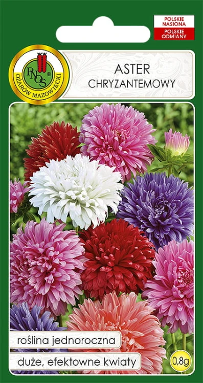 Nasiona-PNOS---Nasiona-Kwiatow---aster-chryzantemowy-mix.jpg