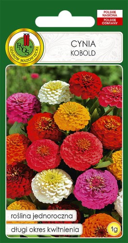 Nasiona-PNOS---Nasiona-kwiatow---cynia-kobold-mix.jpg