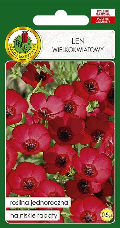 len-wielkokwiatowy---Nasiona-PNOS.jpg