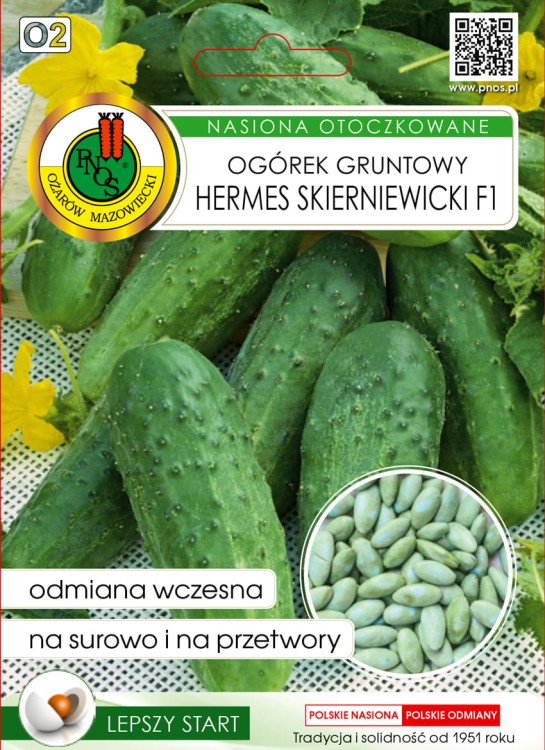 Ogorek-gruntowy-HERMES-SKIERNIEWICKI-F1-50z-O.jpg