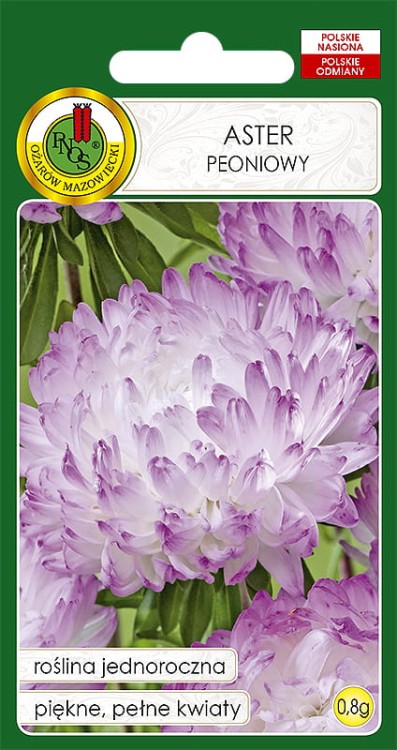 Nasiona-kwiatow--Aaster-peoniowy-bialorozowy.jpg
