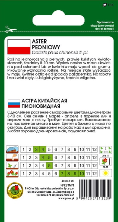 Aster-peoniowy-bialorozowy-0,8g.jpg